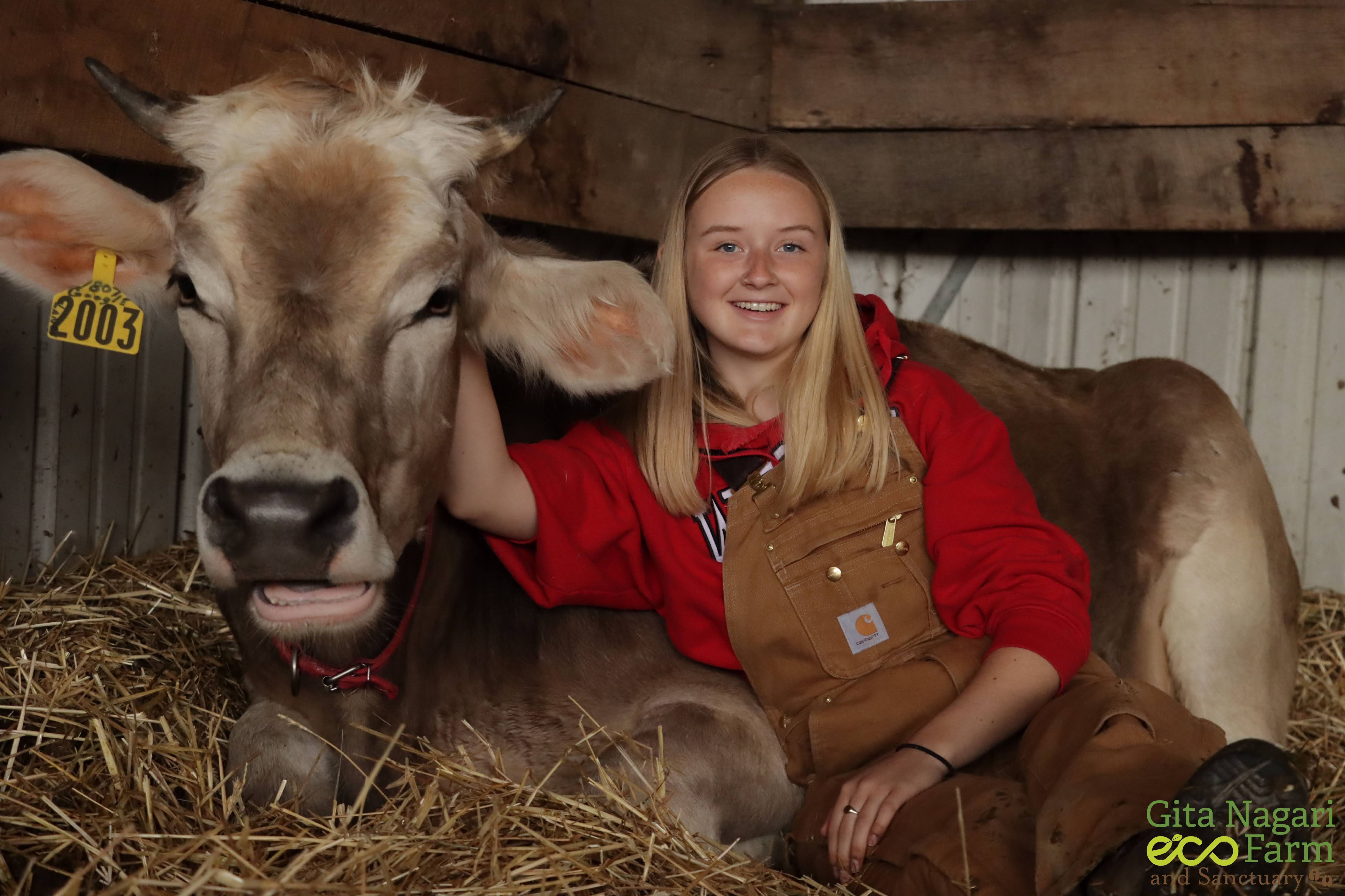 Students get hands on experience working with land and cows